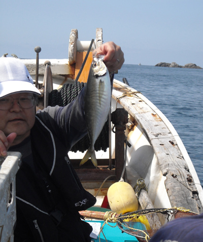 久振りの大鯛を釣る 若狭釣り宿村松