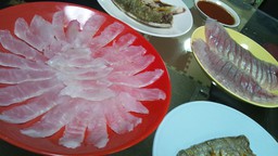 須磨でシオ！