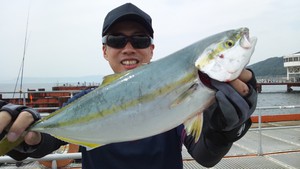 須磨の青物を狙え！