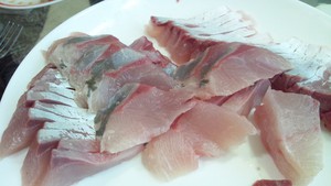 須磨の青物を狙え！