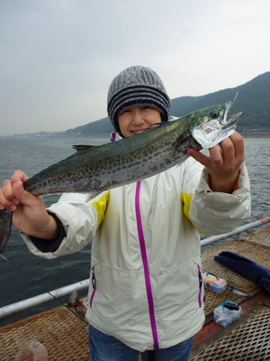 須磨でサゴシが釣れた！