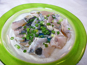 須磨でサゴシが釣れた！