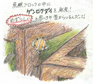LOGBOOKで田浦ダイビング