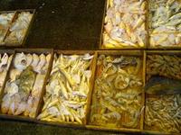 仙崎の魚～その②～ 2007/08/06 18:00:00