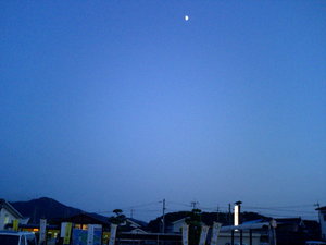 仙崎の花火大会