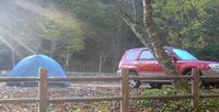 1ヶ月記念！ 2006/11/11 11:28:34