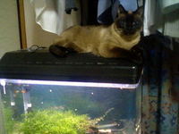 癒しの・・・その② 2007/04/18 19:00:00