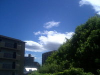 夏きたれば 2007/07/15 16:43:24