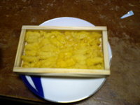 今日の晩飯です。 2007/08/11 19:00:00