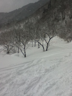 in氷ノ山国際スキー場