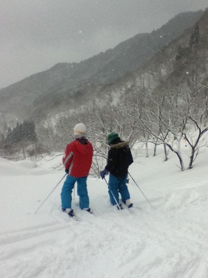 in氷ノ山国際スキー場