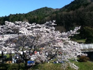 週末の我が家・・・