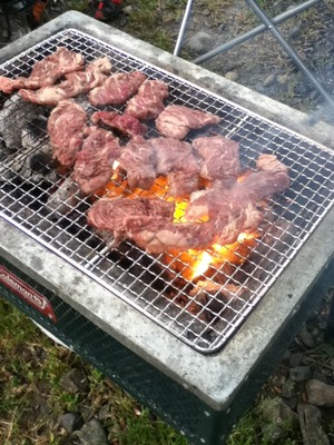 in朽木のキャンプ場（桑野橋河川公園）