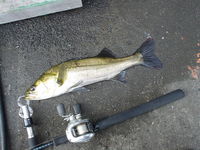 大阪湾奥 2009/09/25 06:45:44