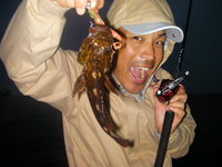 ロックフィッシュ