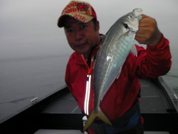 タコ釣り