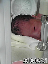 名前 2010/09/23 15:17:16