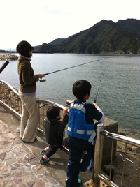 今年2回目の、 2012/11/12 12:31:39