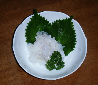 新子アオリの料理　オンパレ！
