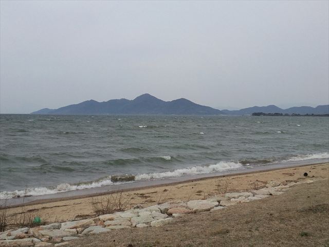 マイアミ浜にいってきました