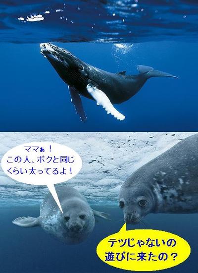 オーシャンズ♪・・・かあちゃんと♡