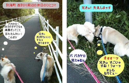 わしの変なお友達‥