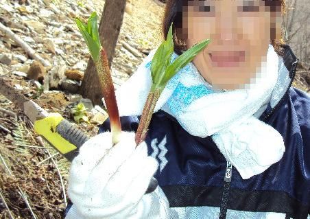 まだ早かったぁ (ToT) ・・・山菜