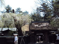 柴犬テツ夫婦の秋田旅行♪・・・③完結