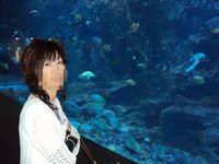 柴犬テツ夫婦の秋田旅行♪・・・③完結