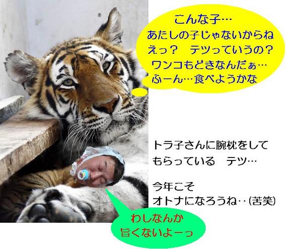 今年こそ、オトナになるぞーっ！・・・釧路発