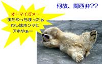 えーーっ！７時ぃーっ？・・・ワカサギ寝坊