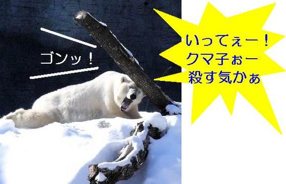 釧路の海が心配・・