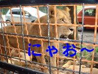 犯人は誰だっ！～御殿場熱中耐久キャンプ