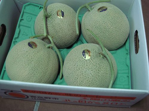 北の大地より、太陽の贈り物