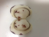 潮干狩り ラクダの模様のアサリ