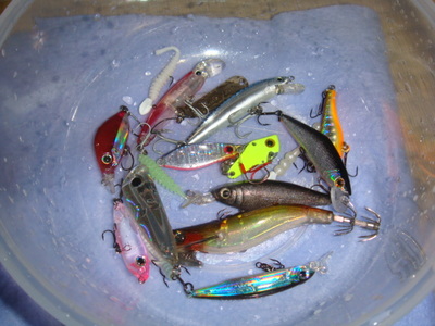 魚はいるけど掛からない