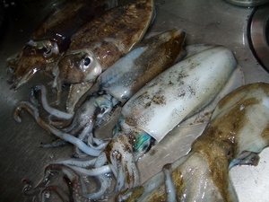 釣果は・・・