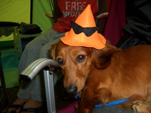 Happy　Halloween　camp　in　ぬくみ　３