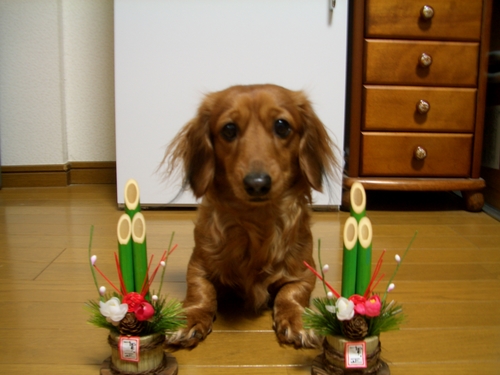 A　HAPPY　NEW　YEAR