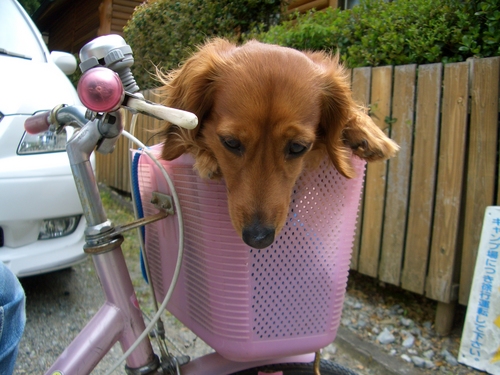 みのずみGWキャンプ