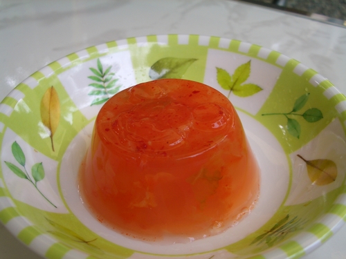 手巻きグルキャンｉｎみのずみ