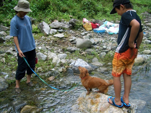 突発キャンプｉｎ白川渡