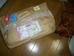 ありがとうございます！！！