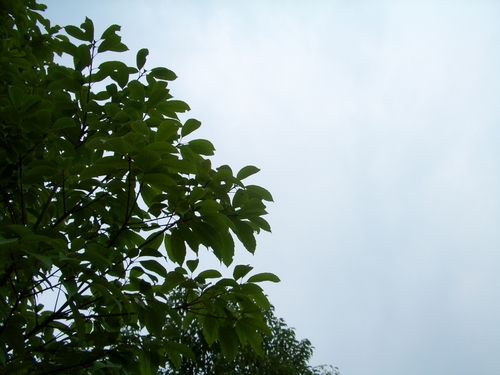 SPW関西　2009　　その1