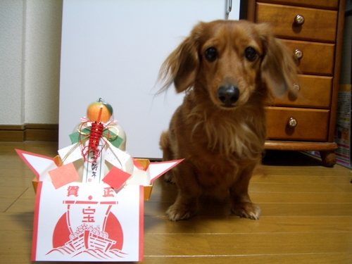 あけましておめでとうございます～＾＾