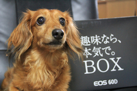 趣味なら、本気で・・・ 2011/09/03 13:27:02