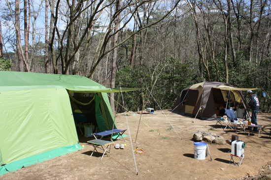 春なのか冬なのか・・・　in　お山