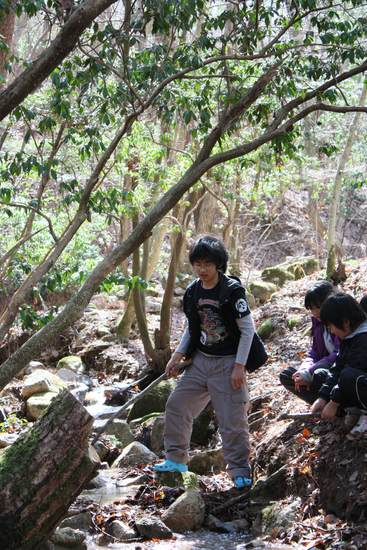 春なのか冬なのか・・・　in　お山