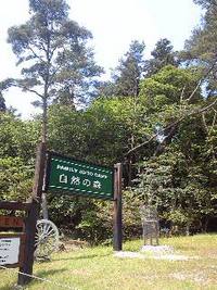 入山〜 2010/06/12 11:16:45