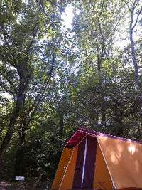 久々〜 2010/08/28 14:25:20